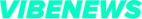 thedailynewspoint.com